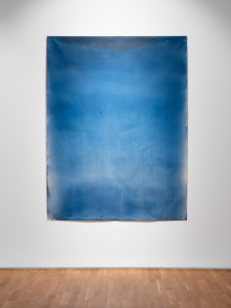 Exposição Que Azul? | Exhibition What Blue?